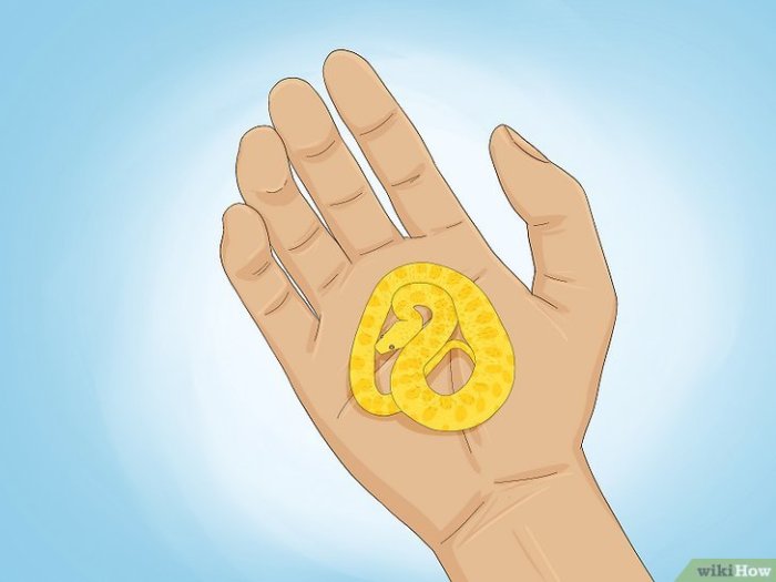 Yellow Snake in a Dream