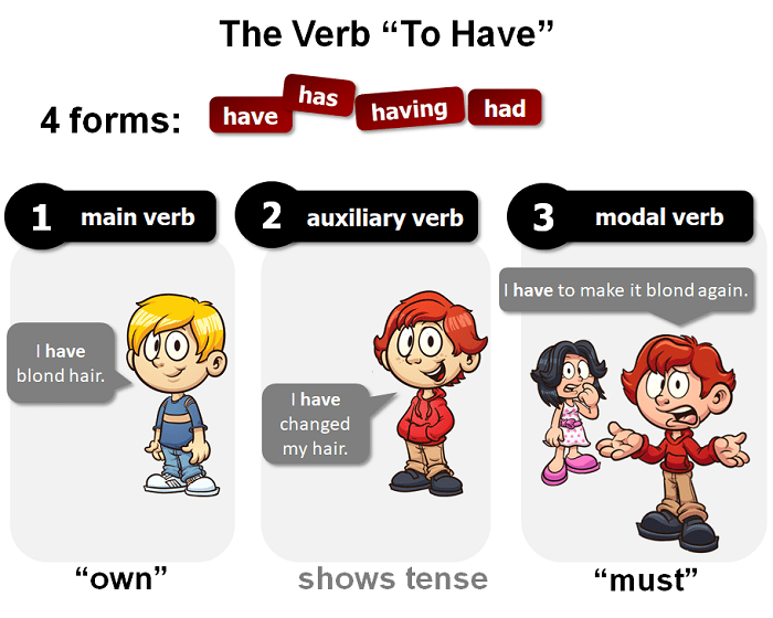 “Has” vs. “Have”: What’s the Difference? | Grammarly Have a Sense of Humor