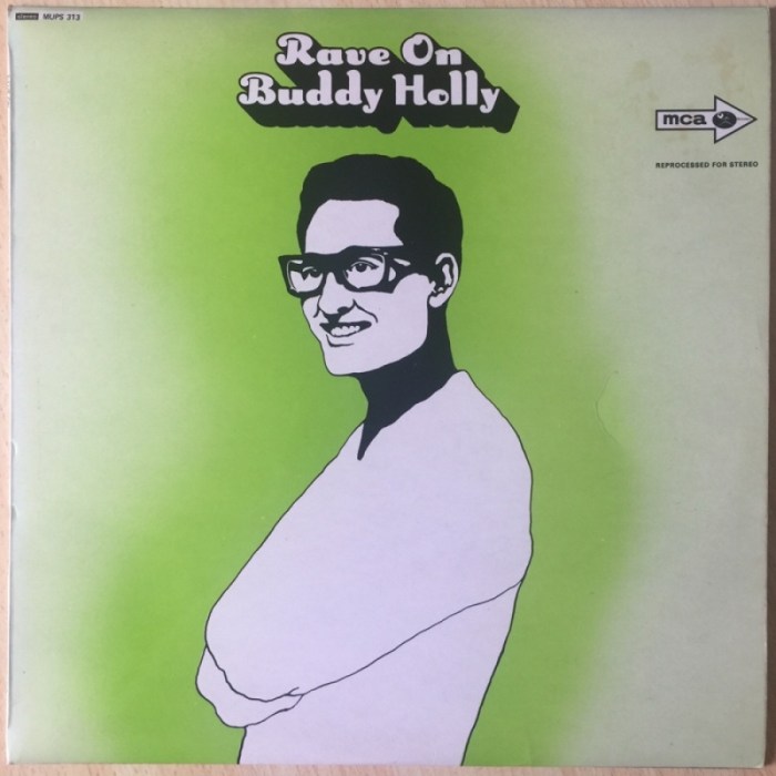 Rave on a tribute to buddy holly