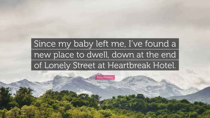 My Baby Left Me A Heartfelt Journey